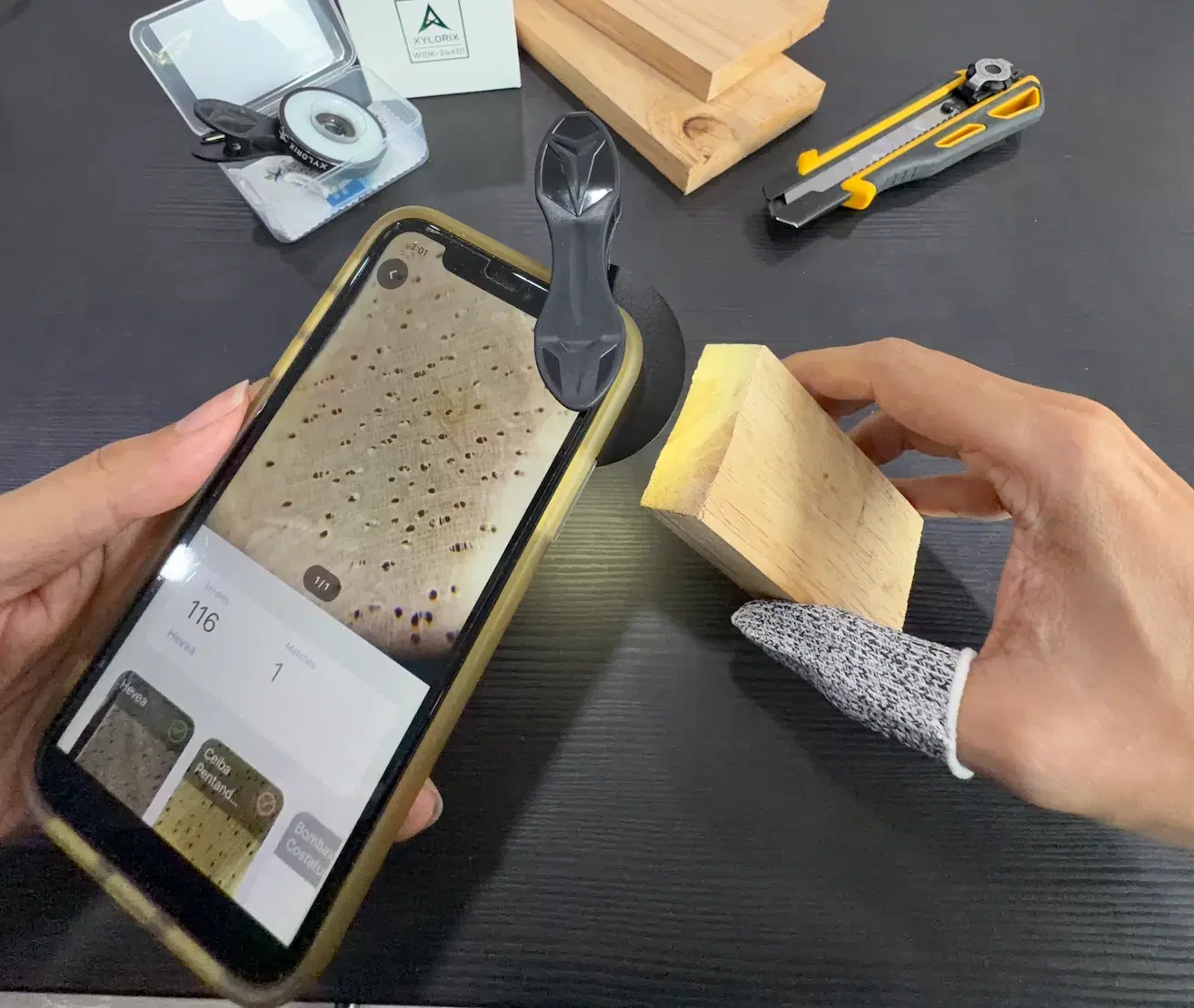 The WIDK-24X01 lens clipped to a phone, showing Xylorix Inspector species matches for a magnified end-grain image, beside a timber block and cutter
